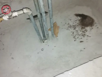 汉源卫生间测漏水价格明细